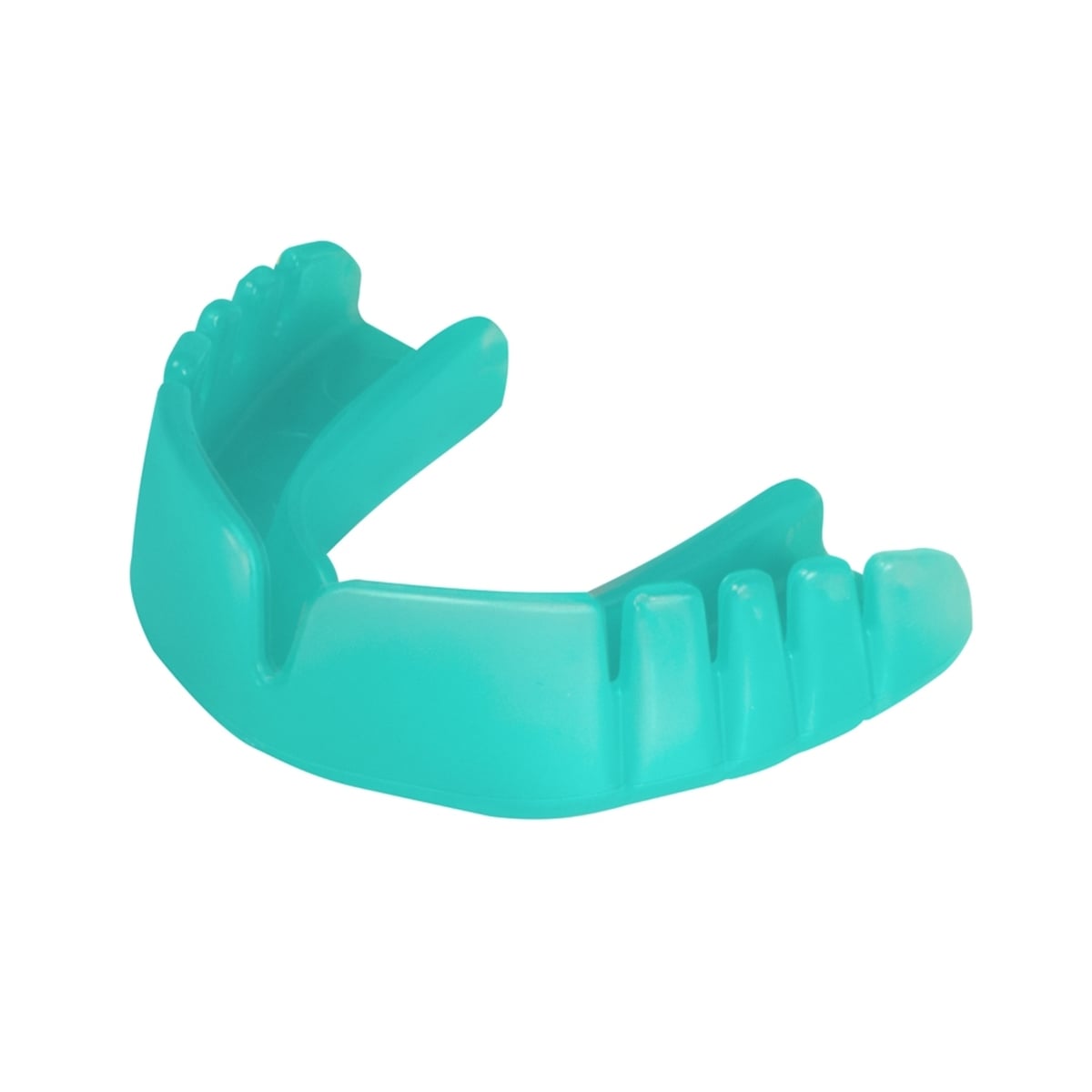 Snap-Fit Mint Flavoured Mouthguard