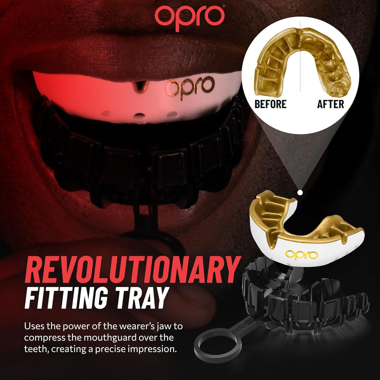 Silver Level Wales Rugby Mouthguard