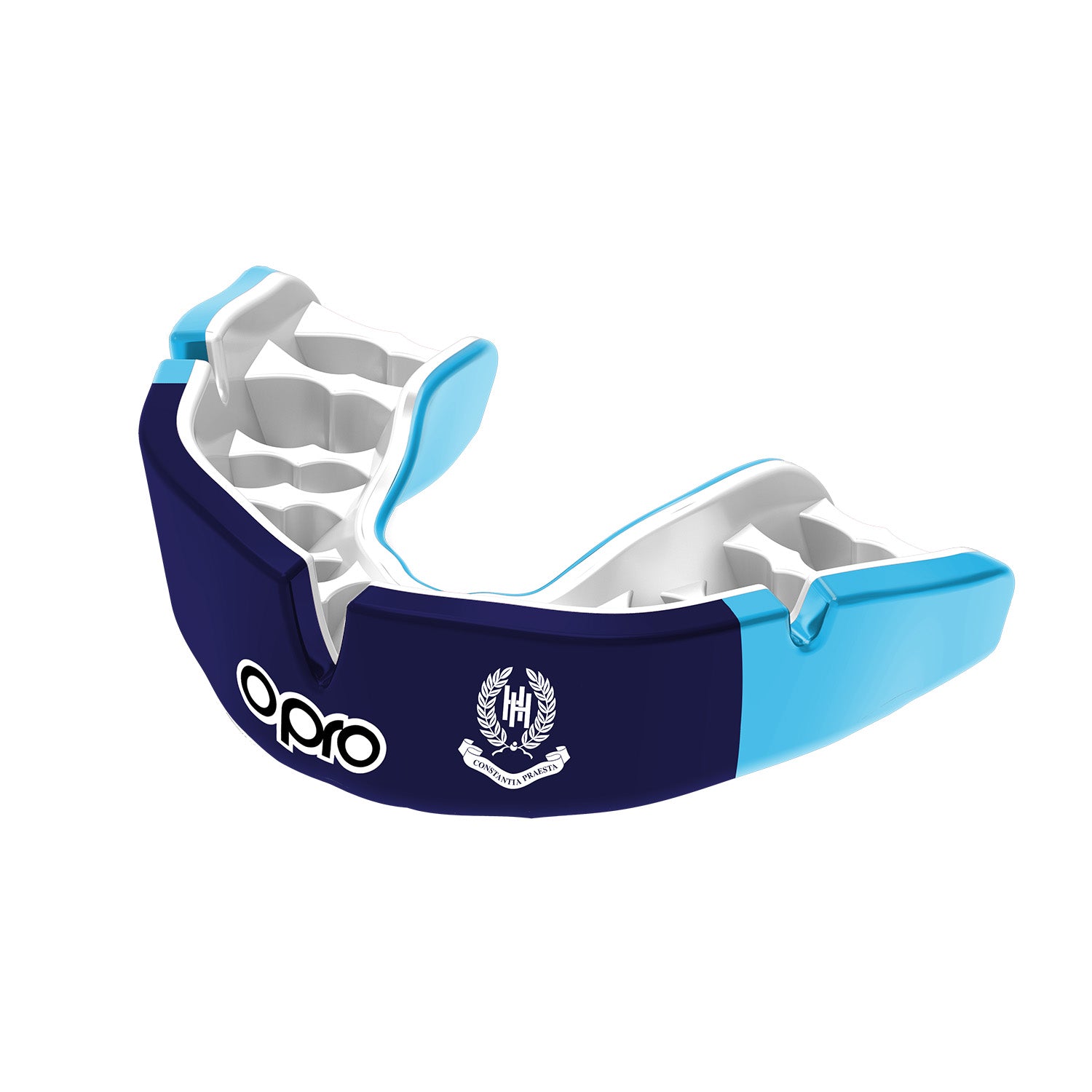 Holmewood House School (Tunbridge Wells) Mouthguard