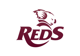 Queensland Reds Rugby logo with a maroon koala head above the word "Reds" written in bold maroon letters with a sweeping tail underline.
