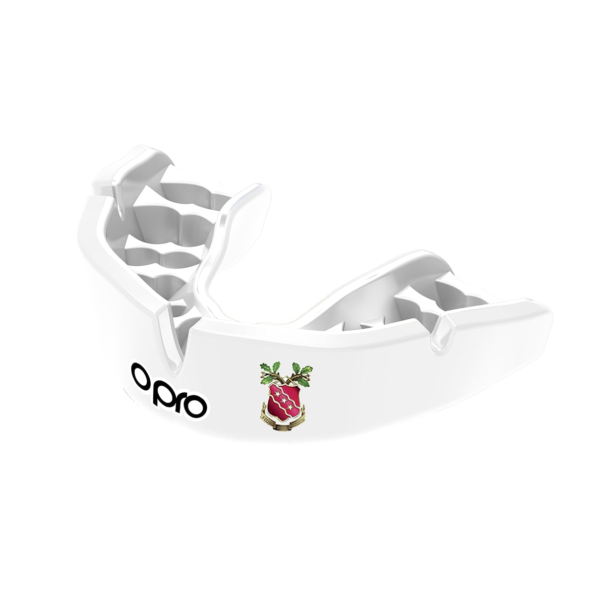 Scarisbrick Hall School Mouthguard
