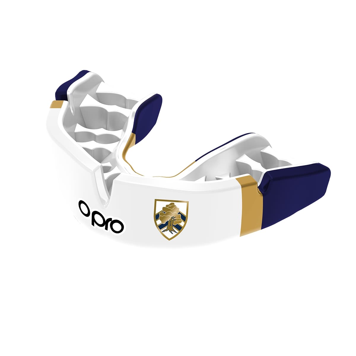 Boundary Oak School Mouthguard