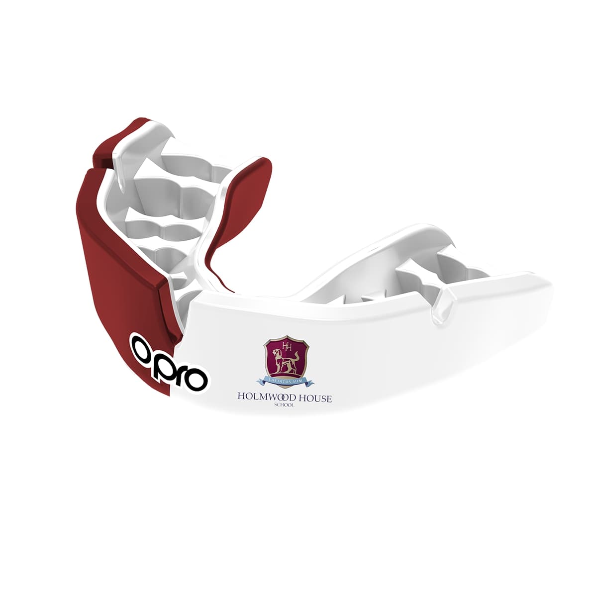 Holmwood House (Colchester) Mouthguard