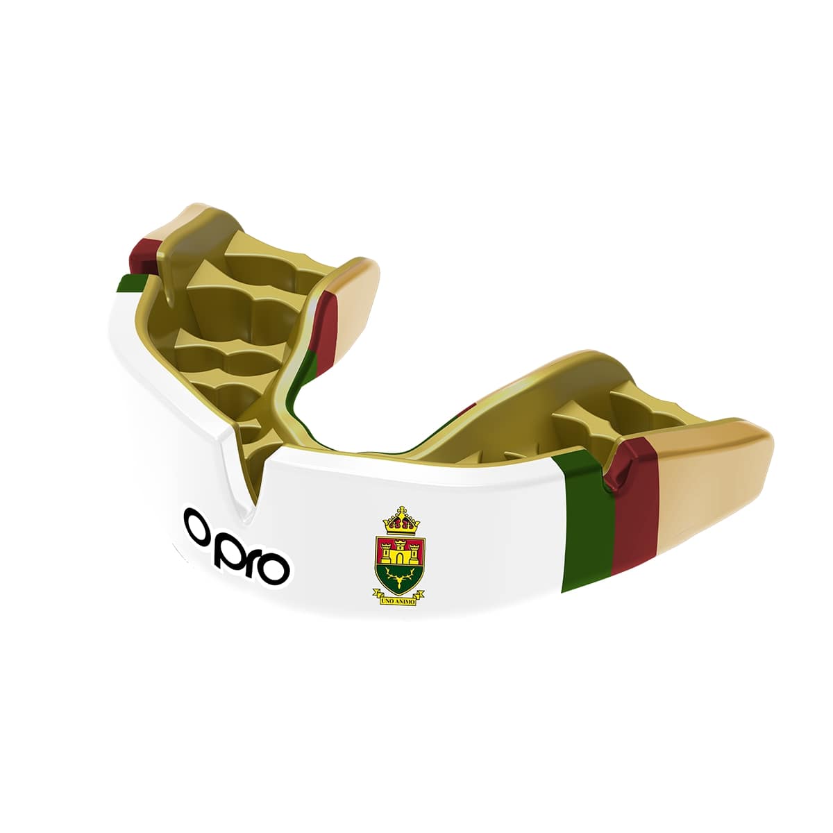 The Windsor Boys School Mouthguard