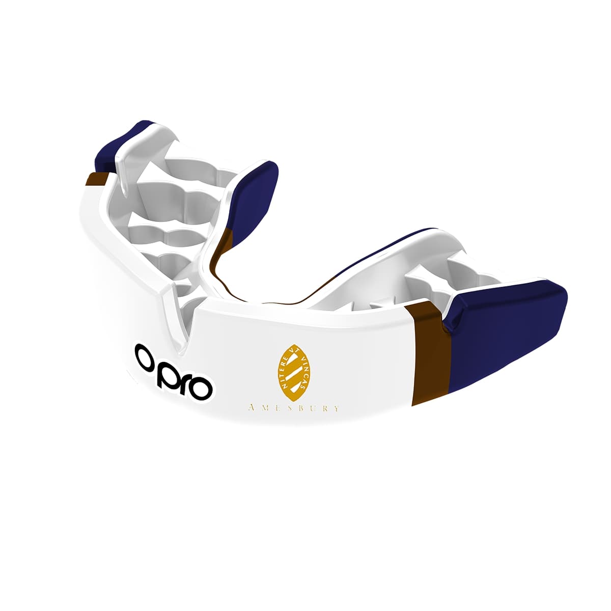 Amesbury School Mouthguard