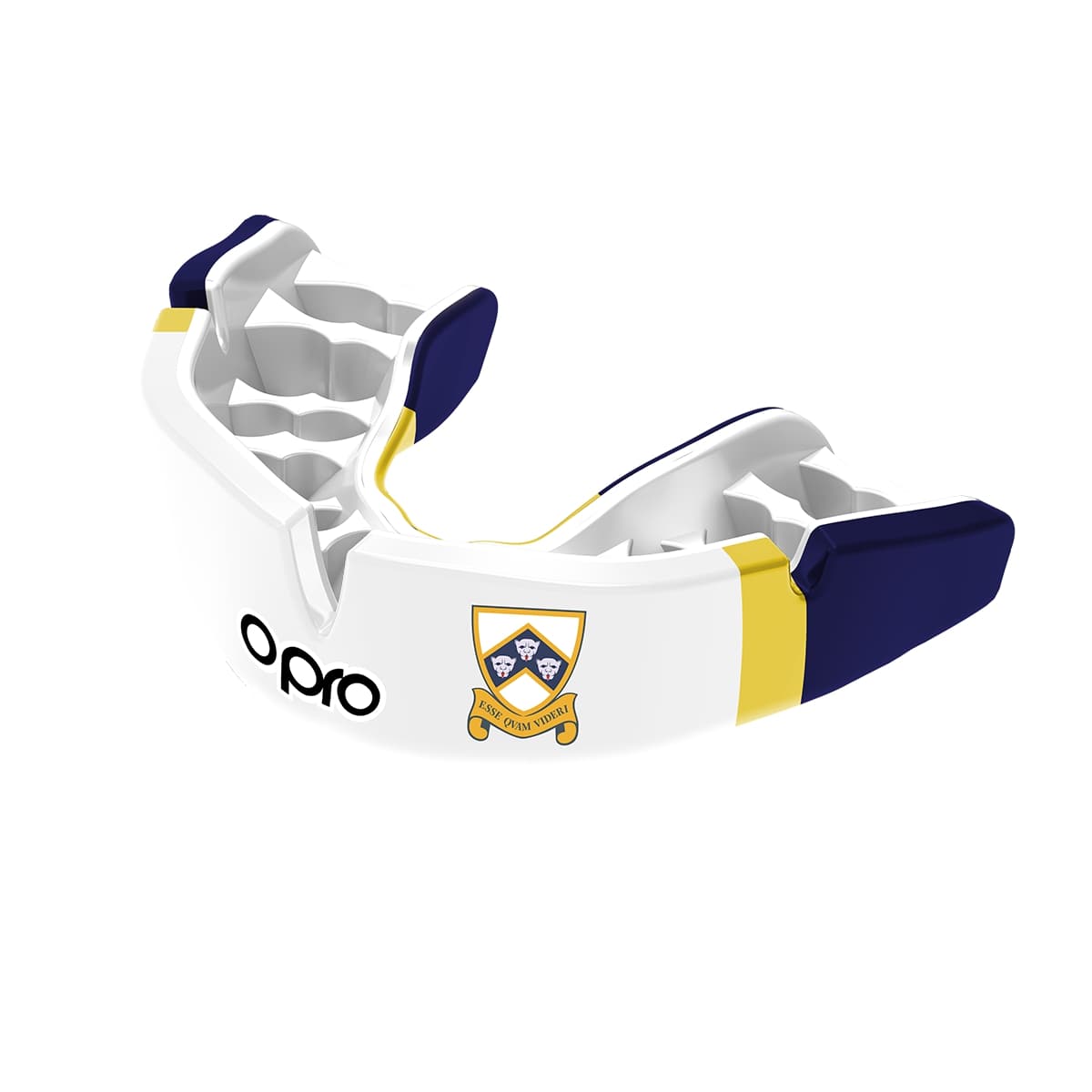 Colyton Grammar Mouthguard