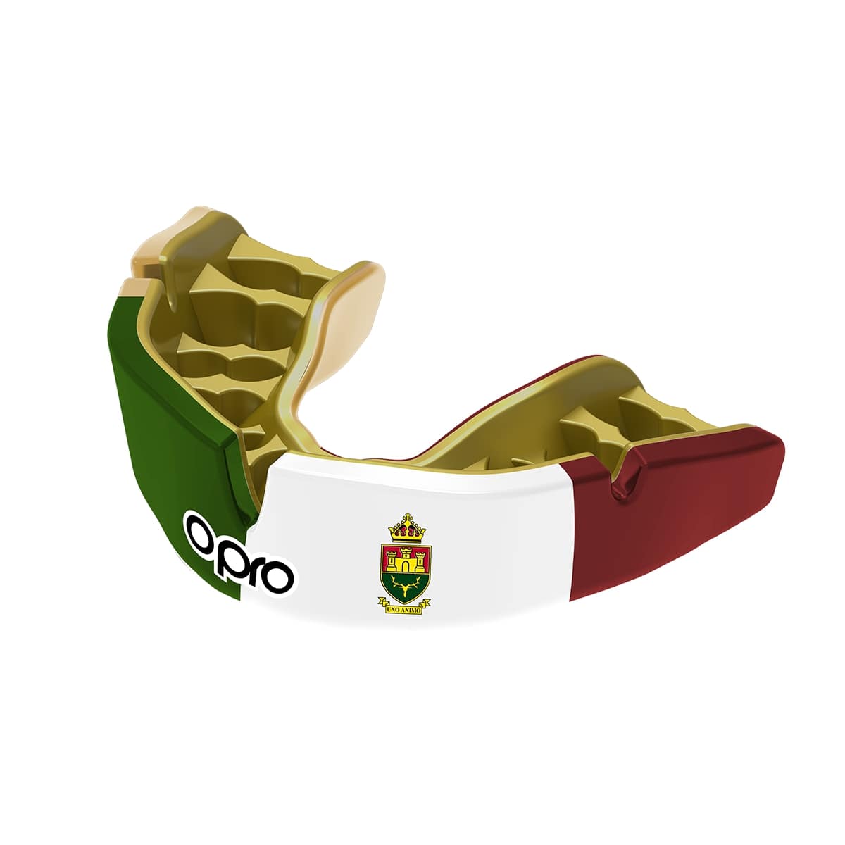 The Windsor Boys School Mouthguard