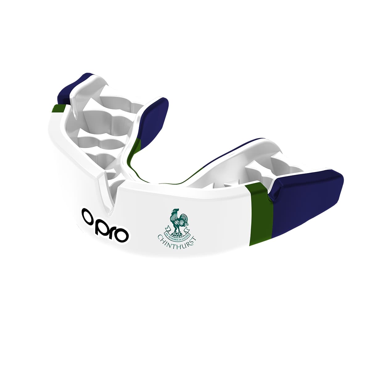 Chinthurst School Mouthguard