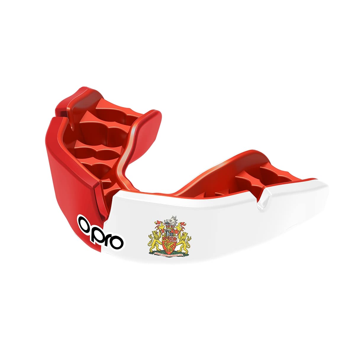 Folly Lane ARLFC Mouthguard
