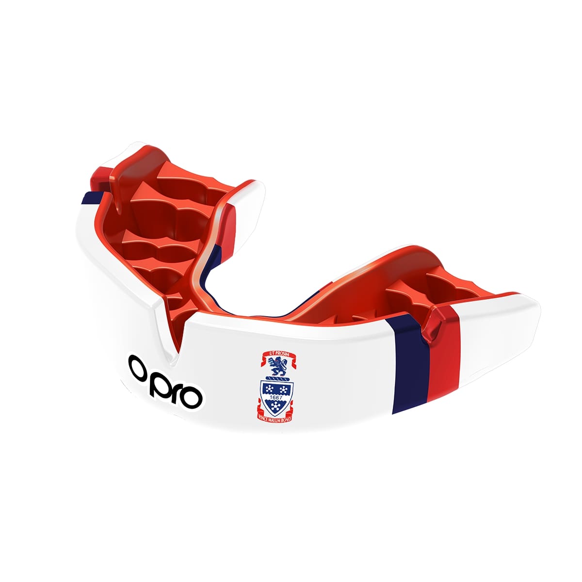 Old Swinford Hospital Mouthguard