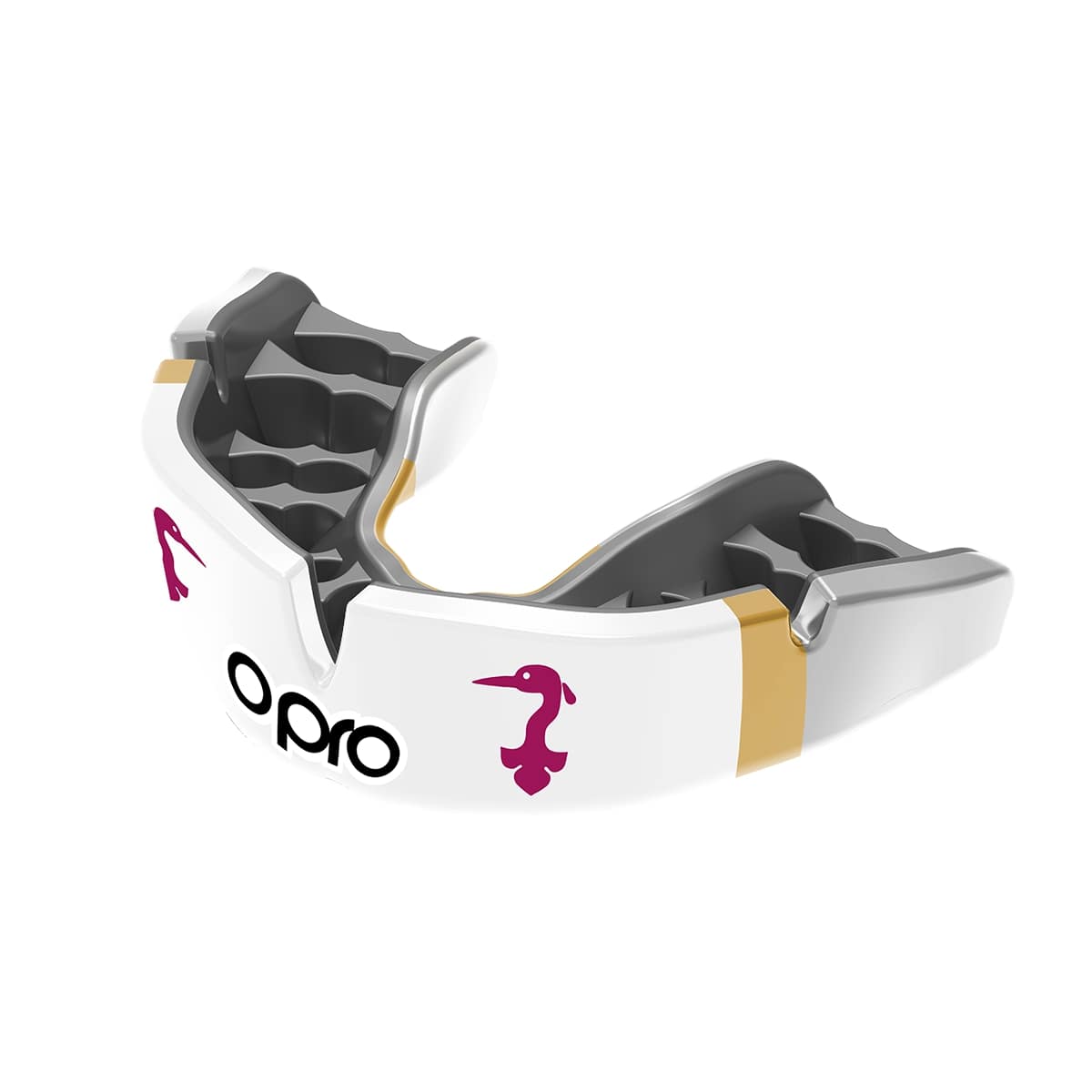 All Hallows School Mouthguard