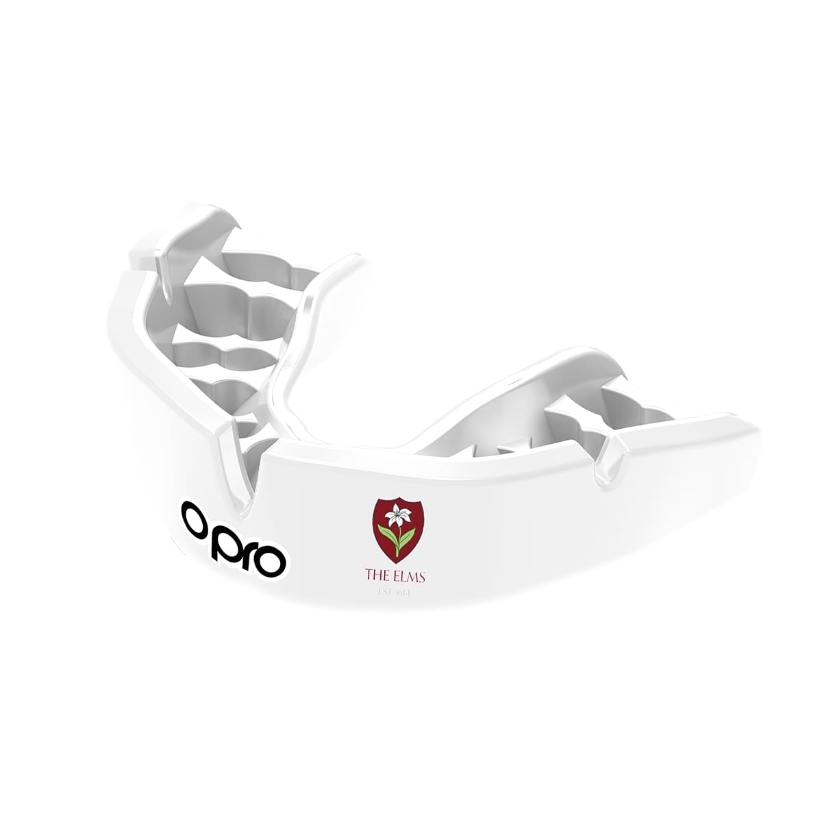 The Elms School Mouthguard