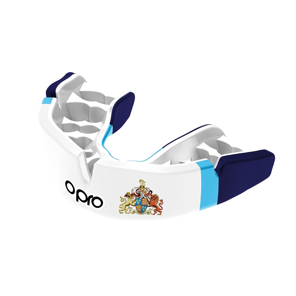 King Edward's School, Edgbaston Mouthguard