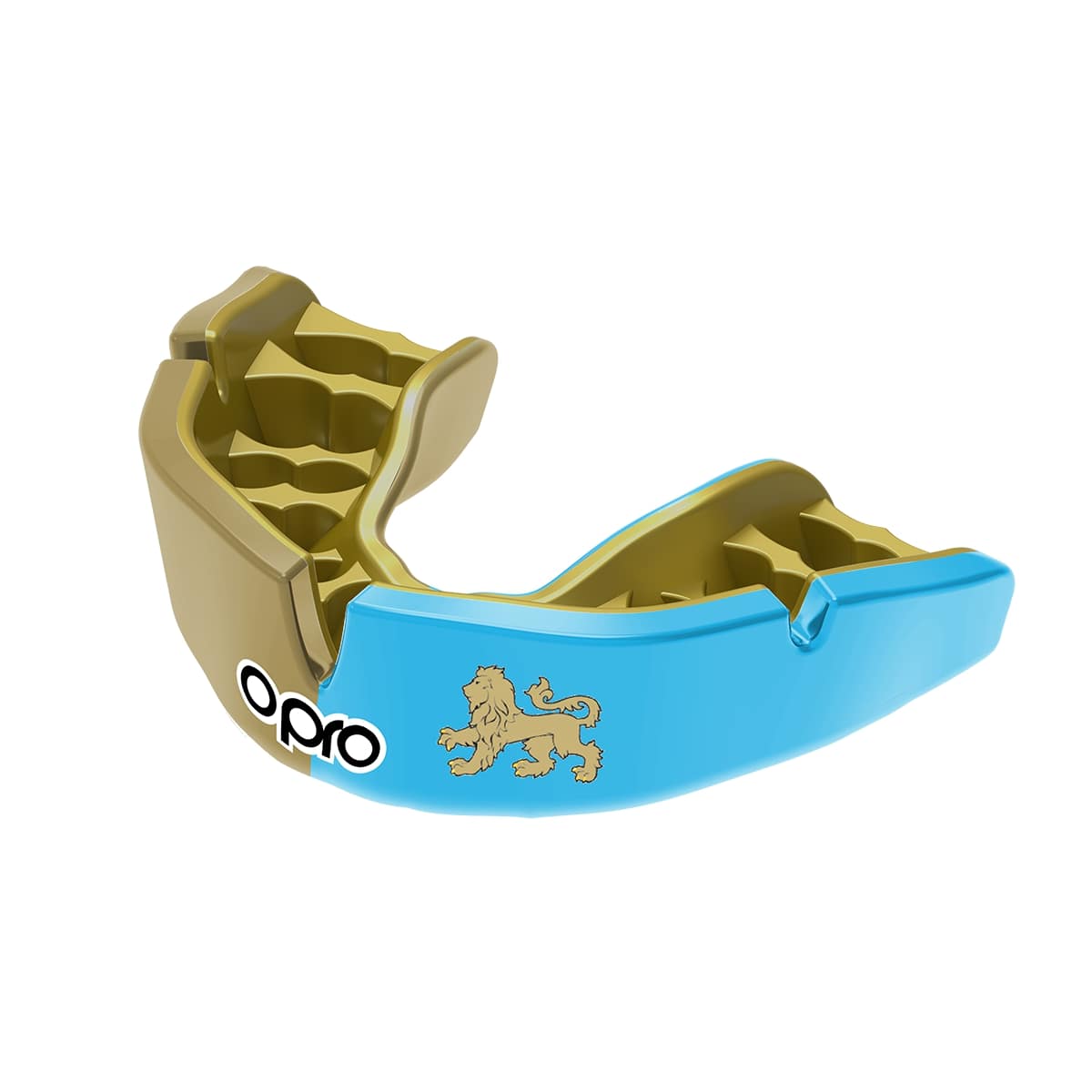 Hampton Pre-Prep and Prep Mouthguard