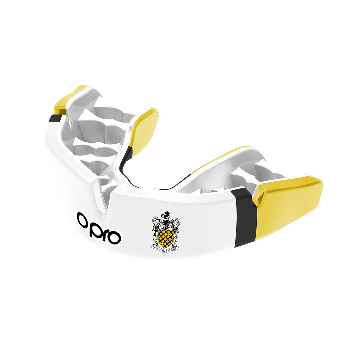 Aldenham School Mouthguard