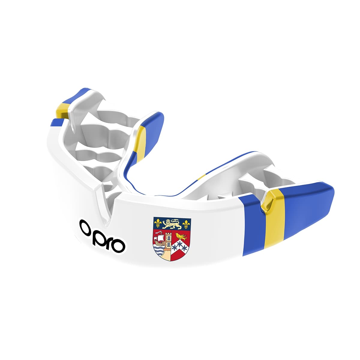 Queen Elizabeth's Hospital School Mouthguard