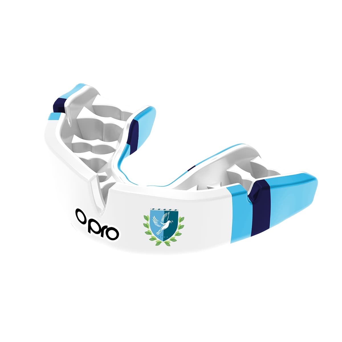 Feltonfleet School Mouthguard