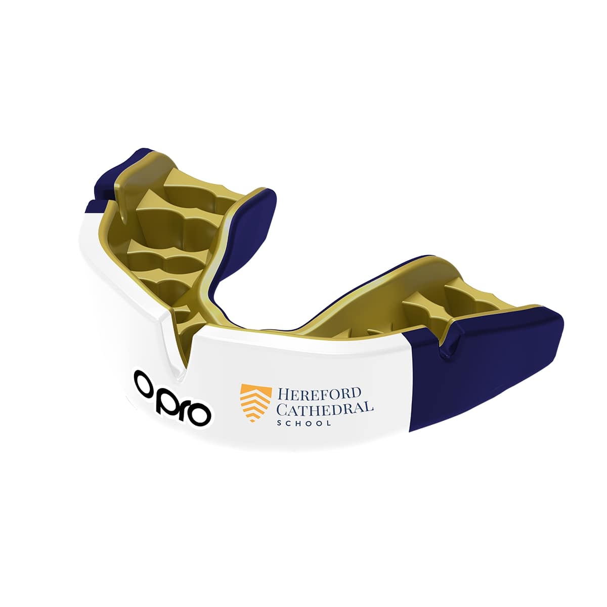 Hereford Cathedral School Mouthguard