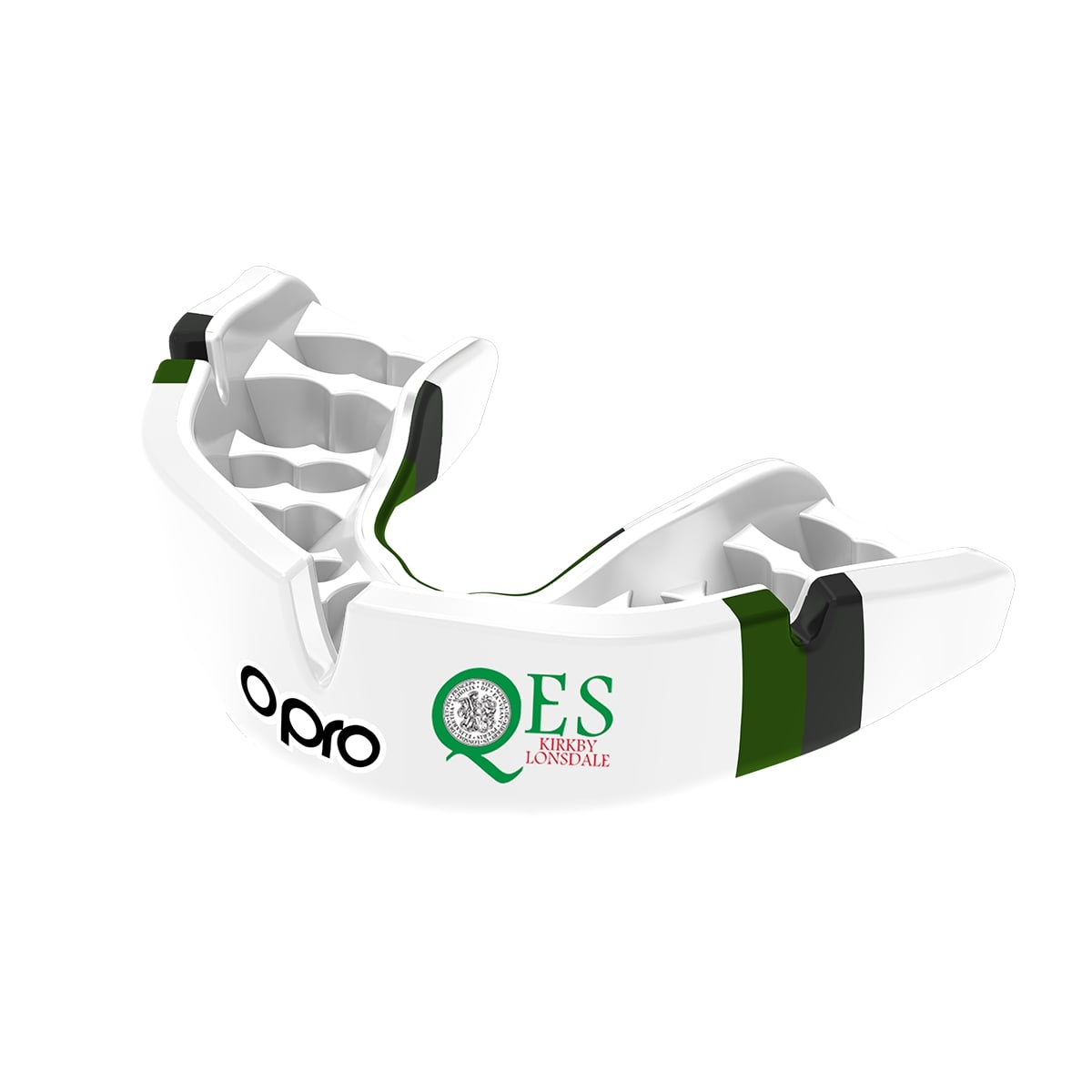 Queen Elizabeth School & Kirby Lonsdale Mouthguard