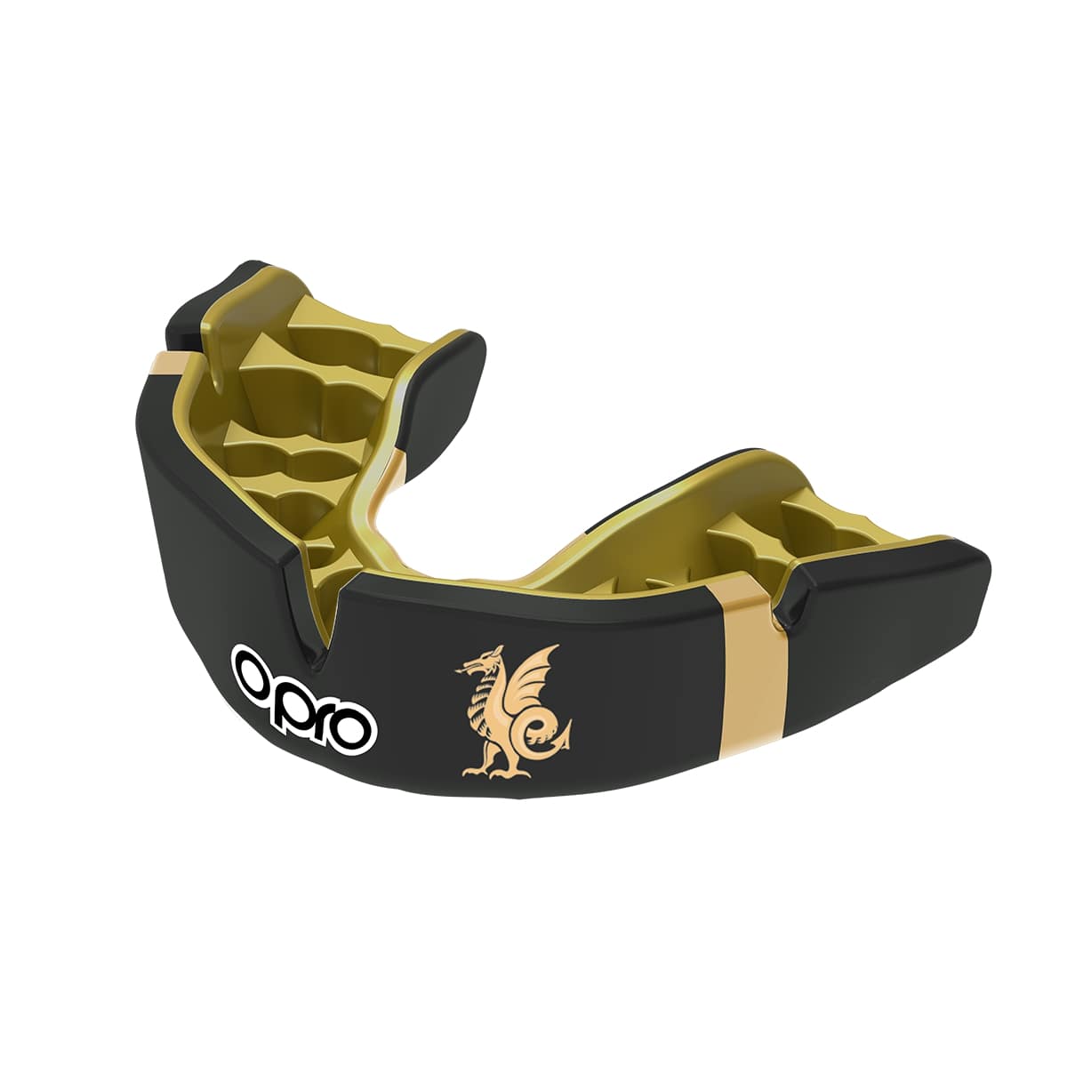 Queens College Taunton Mouthguard