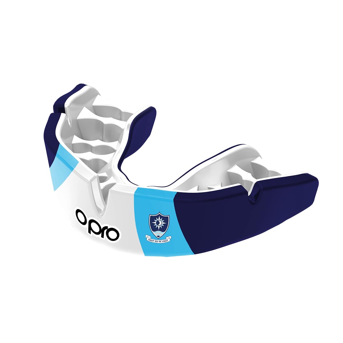 Windermere School Mouthguard