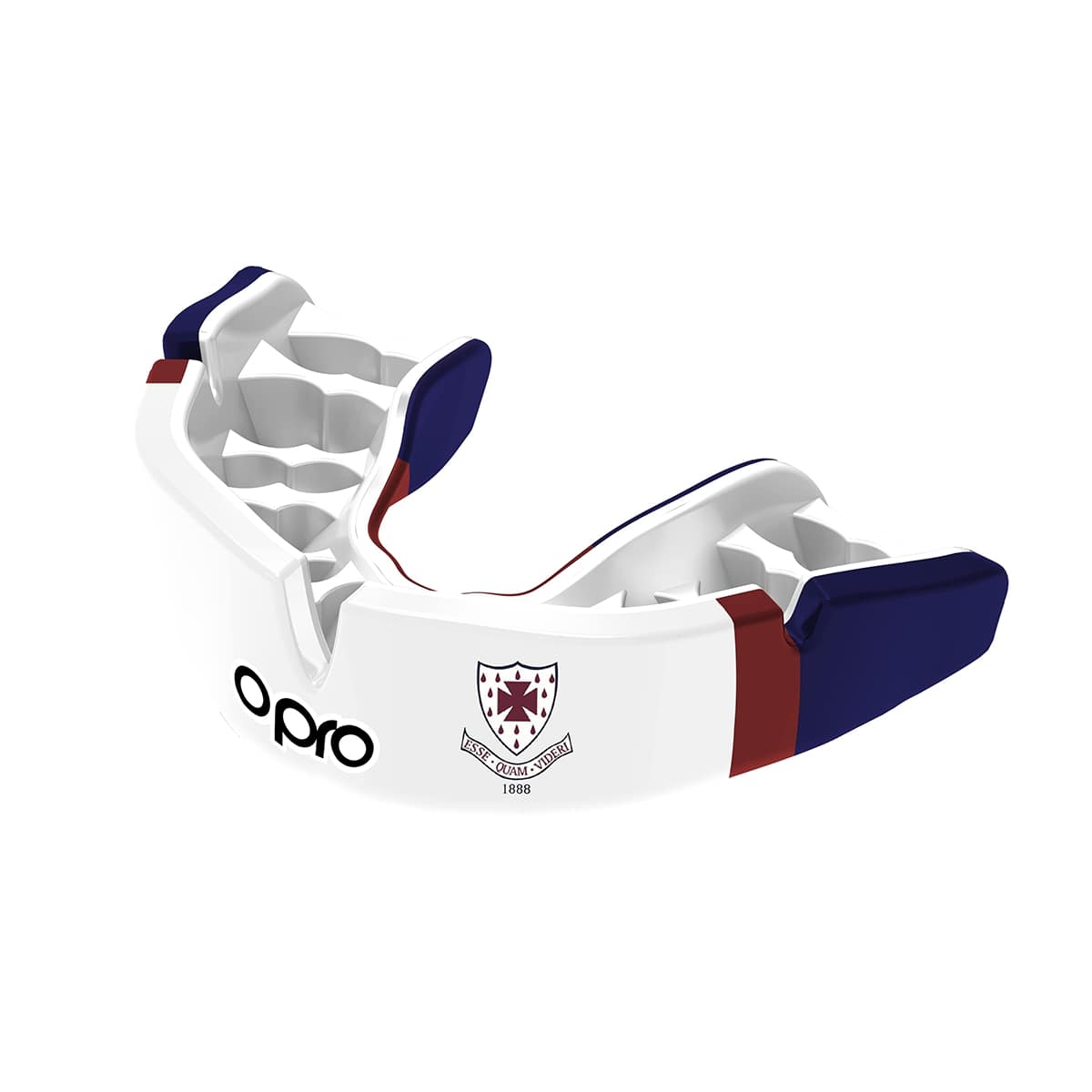 S. Anselms Mouthguard