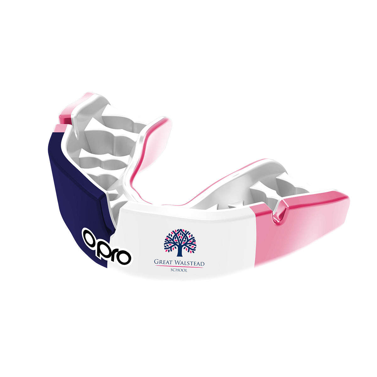 Great Walstead School Mouthguard