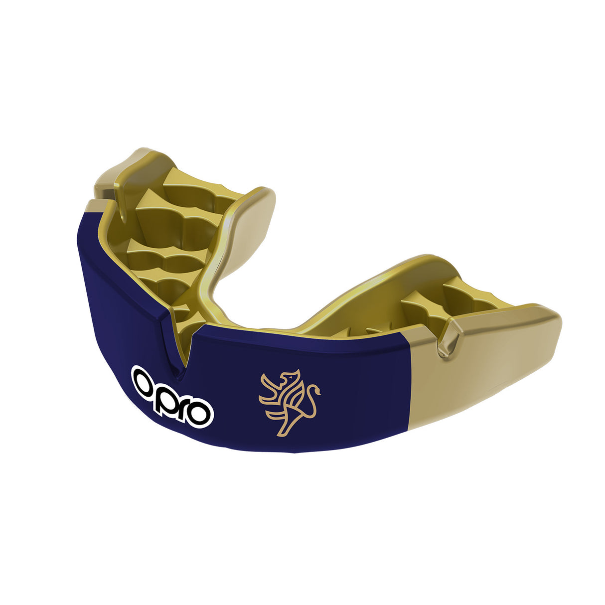 John Lyon School Mouthguard