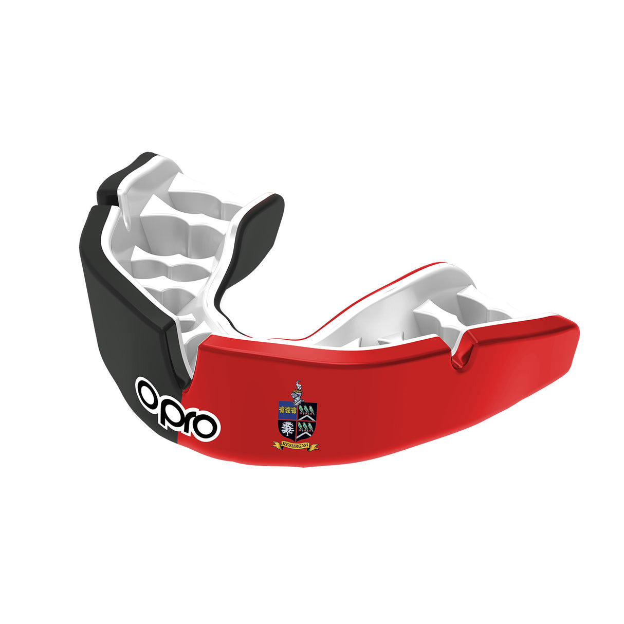 Moyles Court School Mouthguard