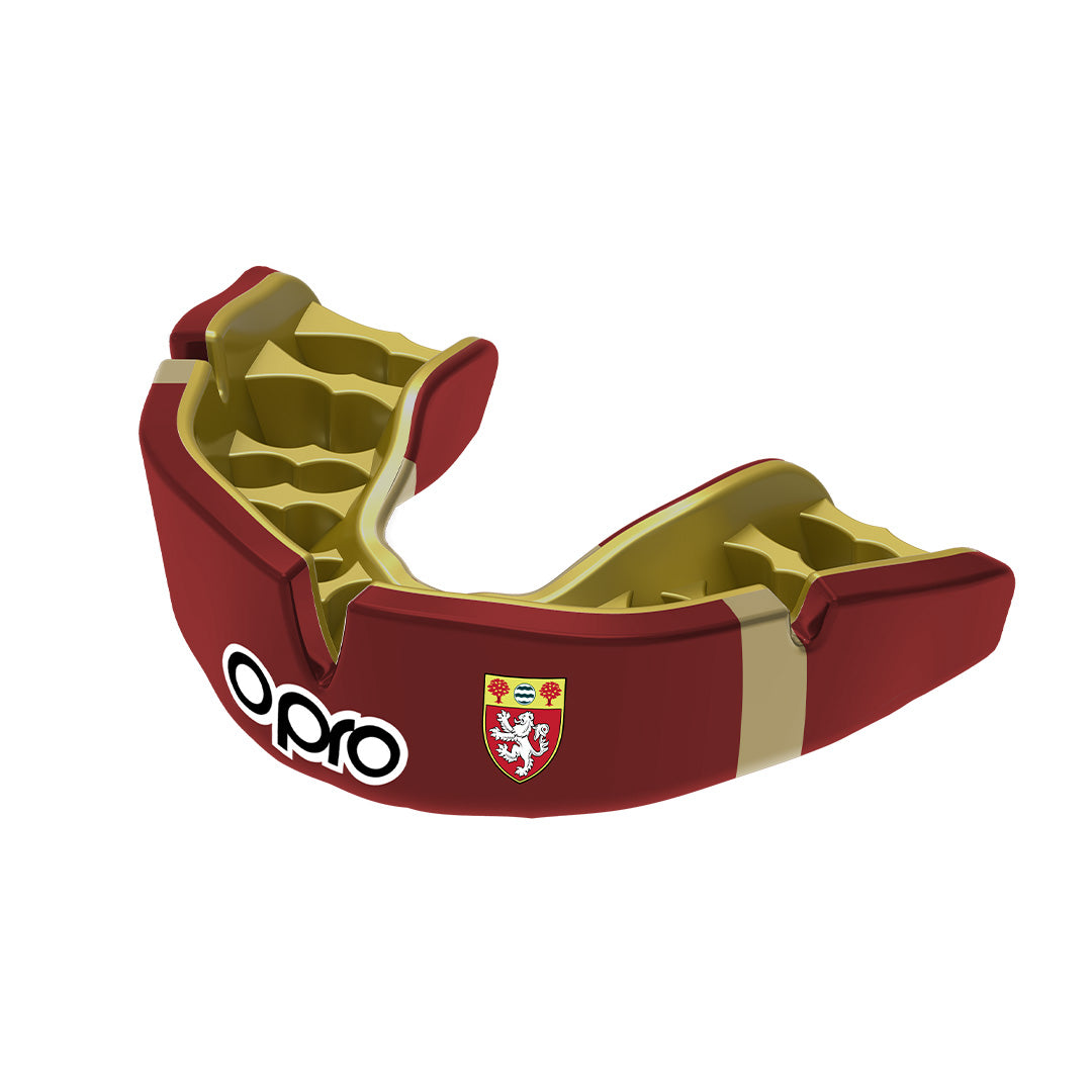 Royal Alexandra & Albert School Mouthguard