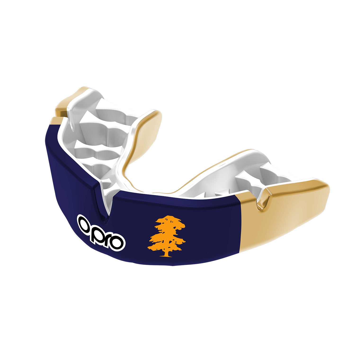 Farleigh School Mouthguard