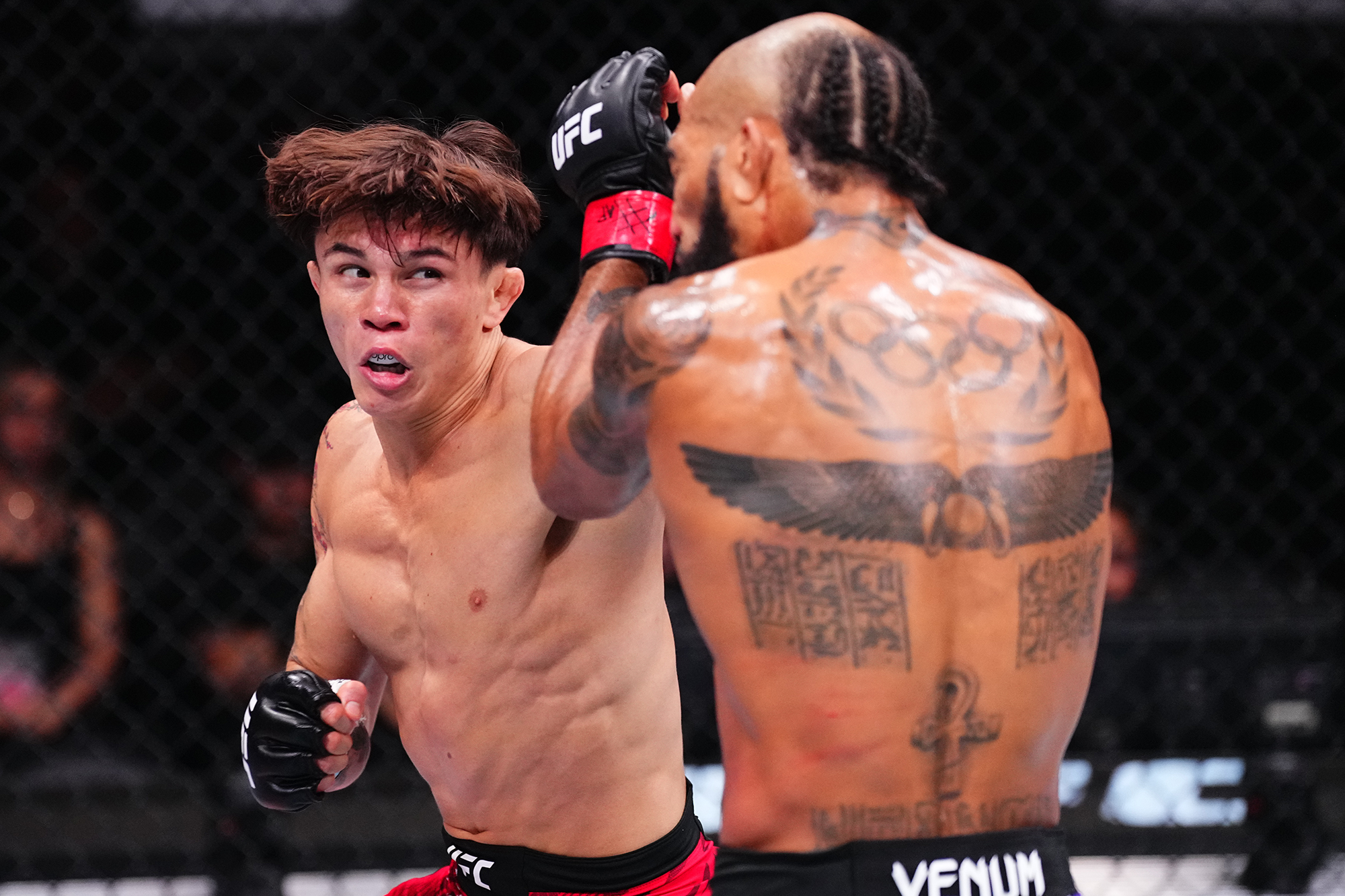 What Is the UFC? A Beginner’s Guide to MMA