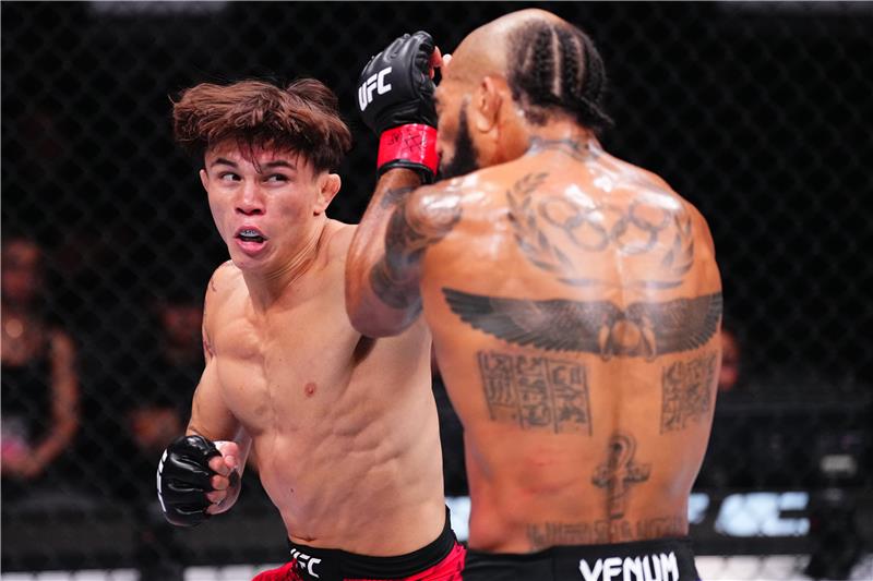 What Is the UFC? A Beginner’s Guide to MMA