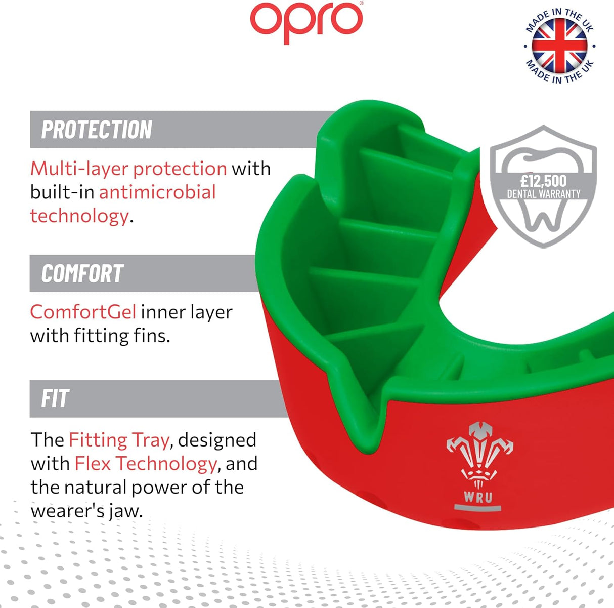 Silver Level Wales Rugby Mouthguard