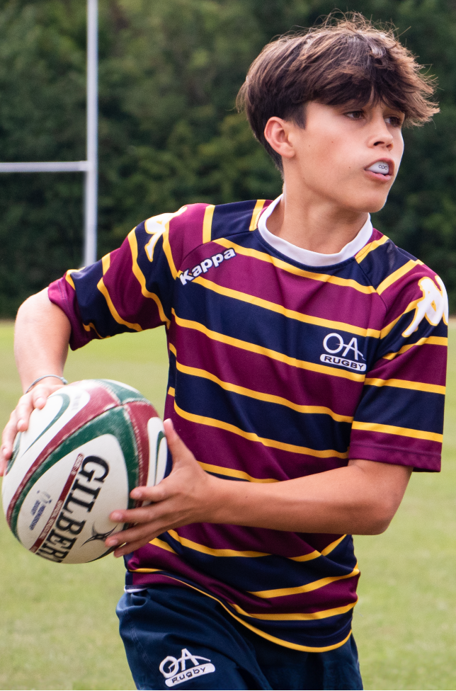 Person wearing a striped sports jersey holding a rugby ball on a grass field