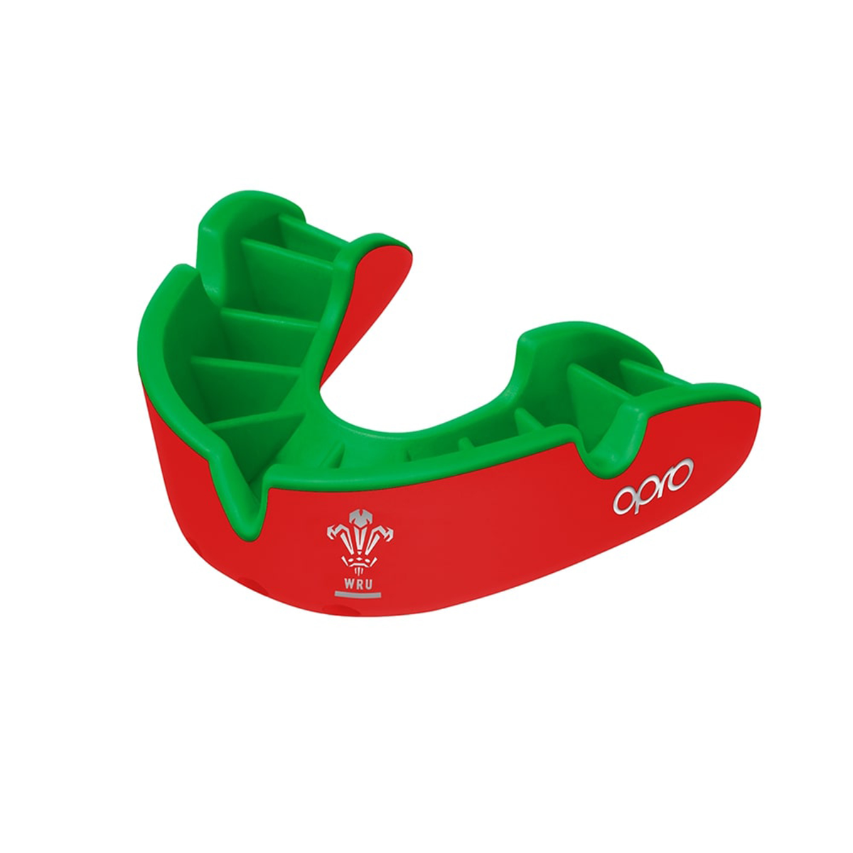 Silver Level Wales Rugby Mouthguard