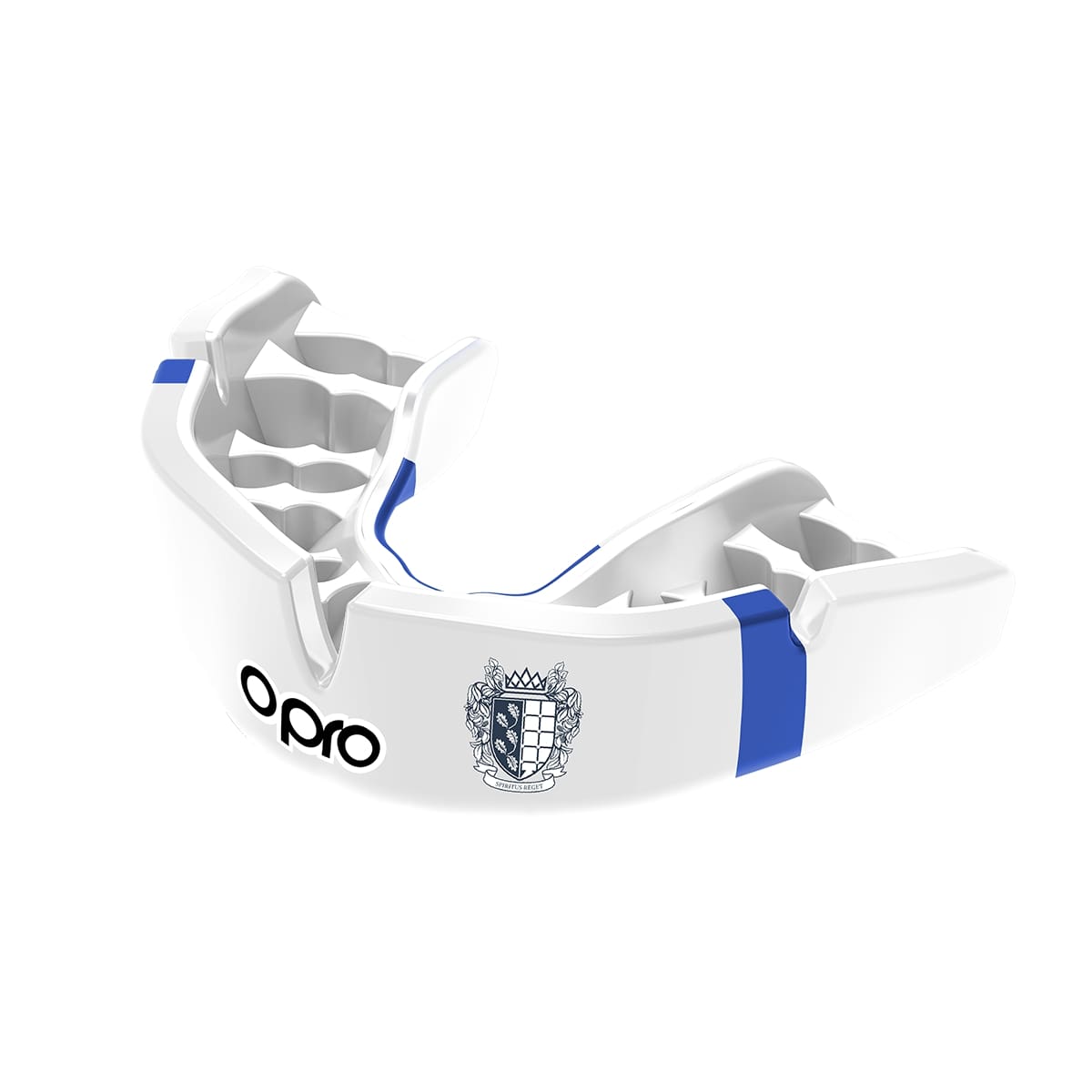 Warwick Prep Mouthguard