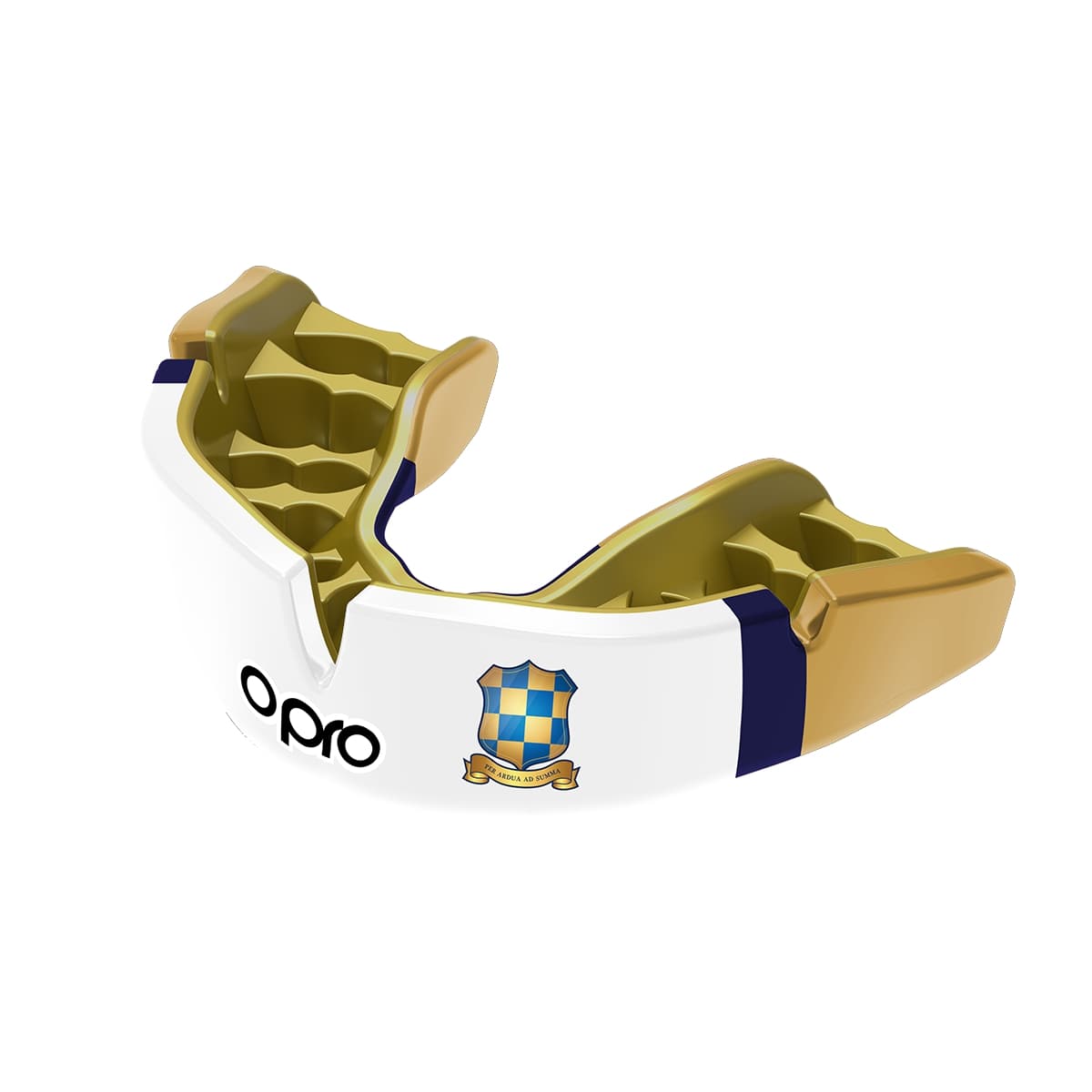 Wallington County Grammar School Mouthguard