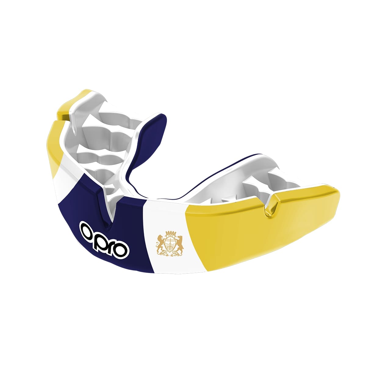 Beechen Cliff School Mouthguard