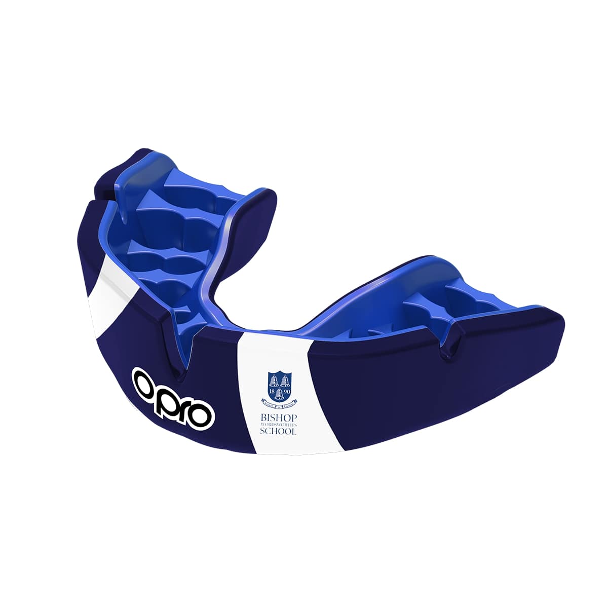 Bishop Wordsworth Mouthguard