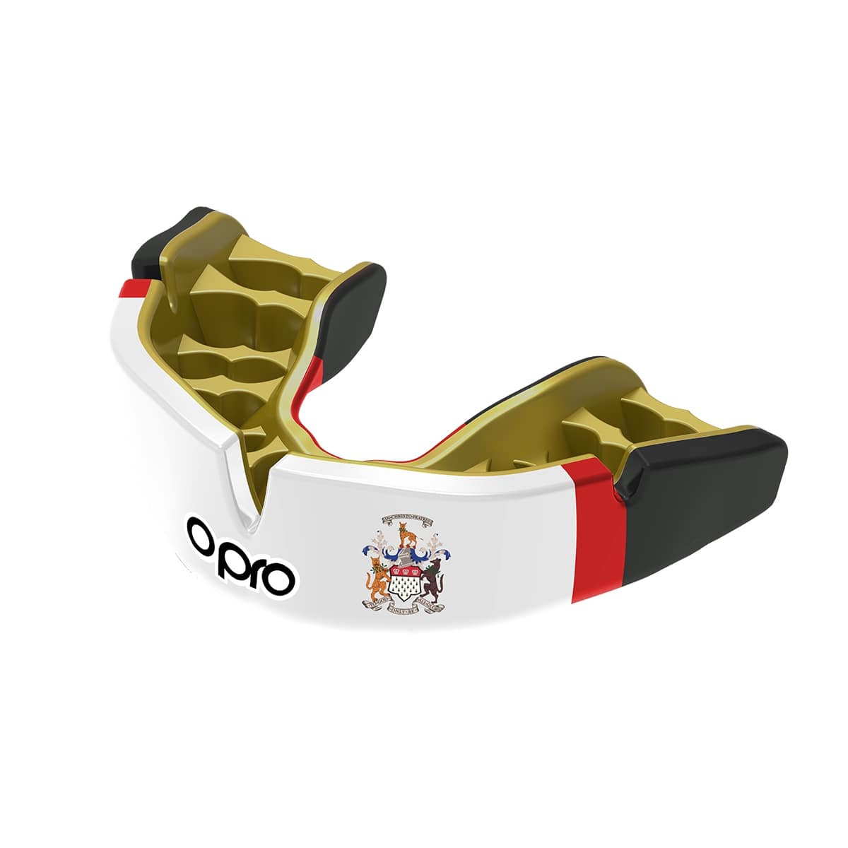 The Skinners School Mouthguard