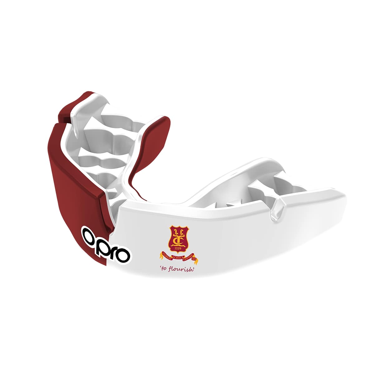 The Crypt School Mouthguard