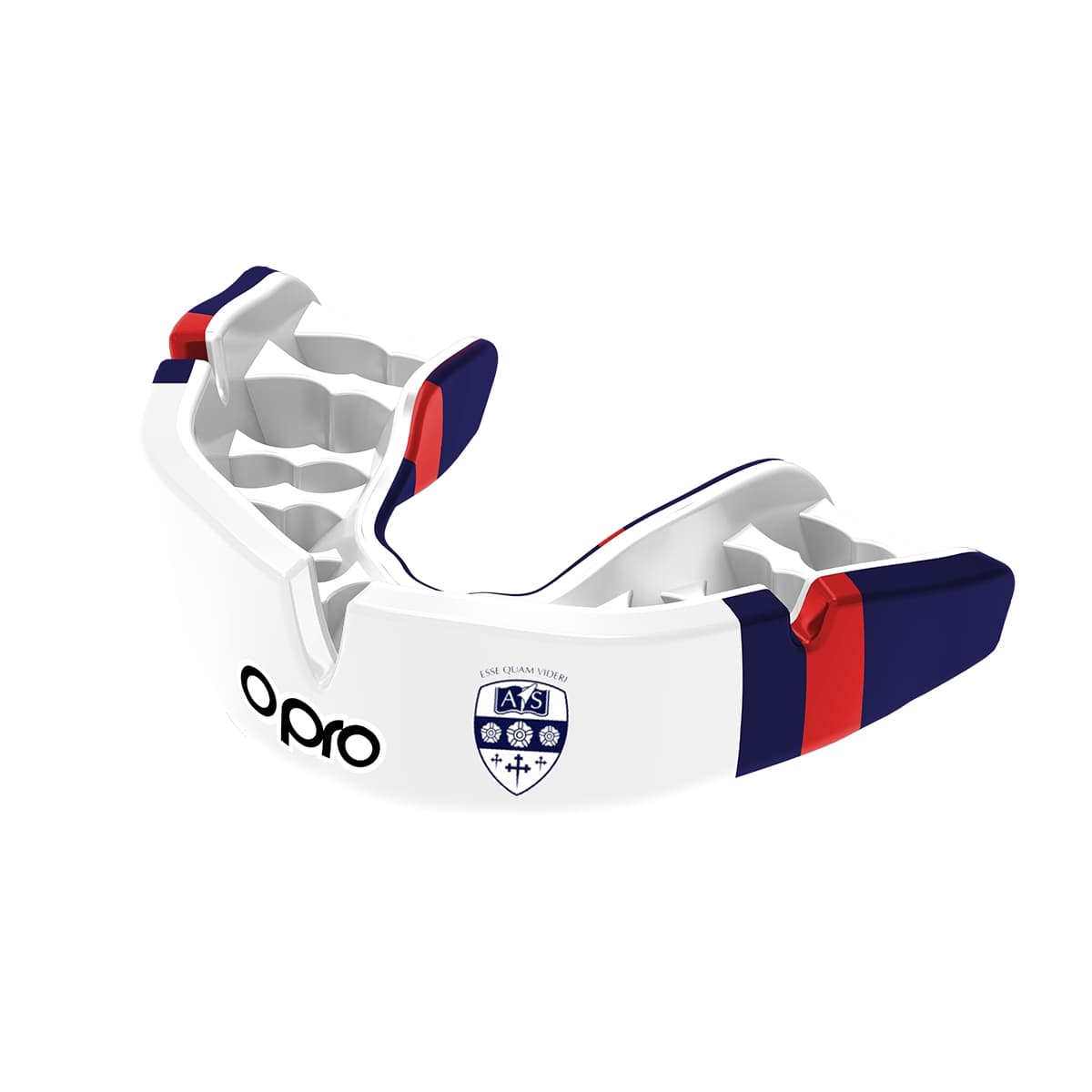 Ashford School Mouthguard
