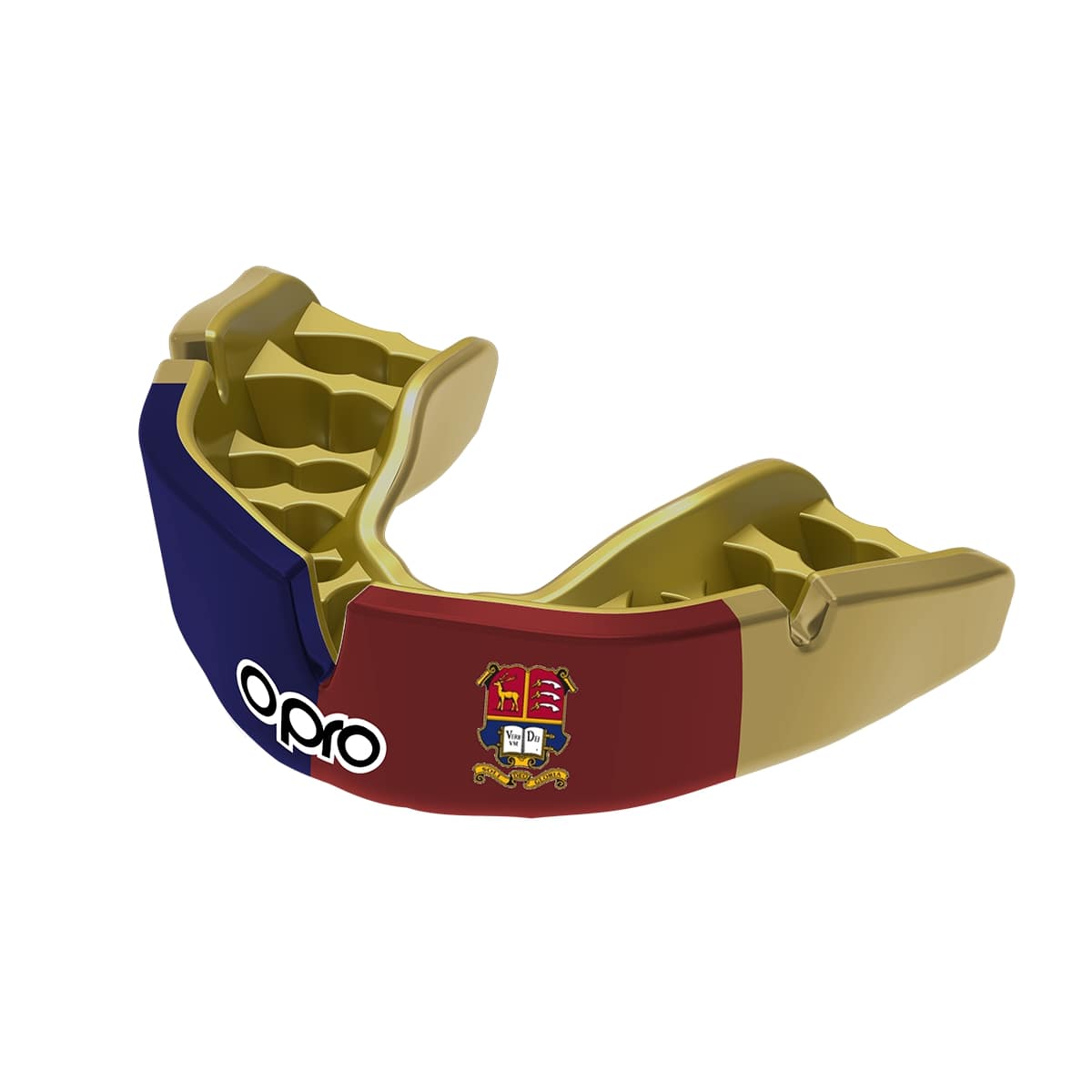 Bishop's Stortford College and Prep School Mouthguard