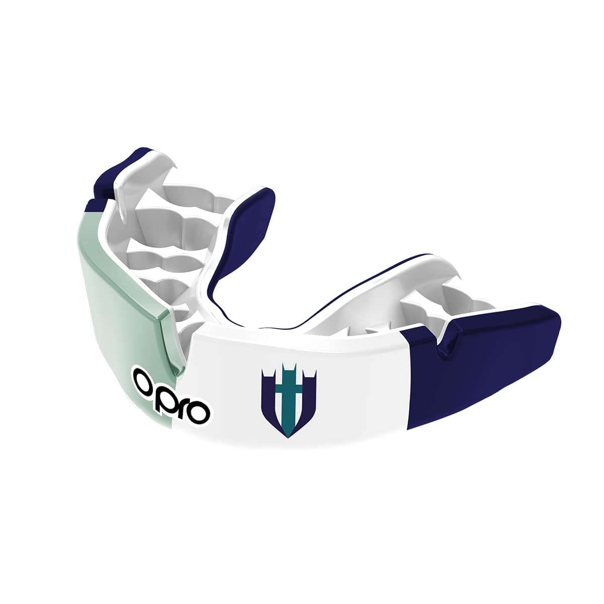 Lincoln Minster Prep School Mouthguard