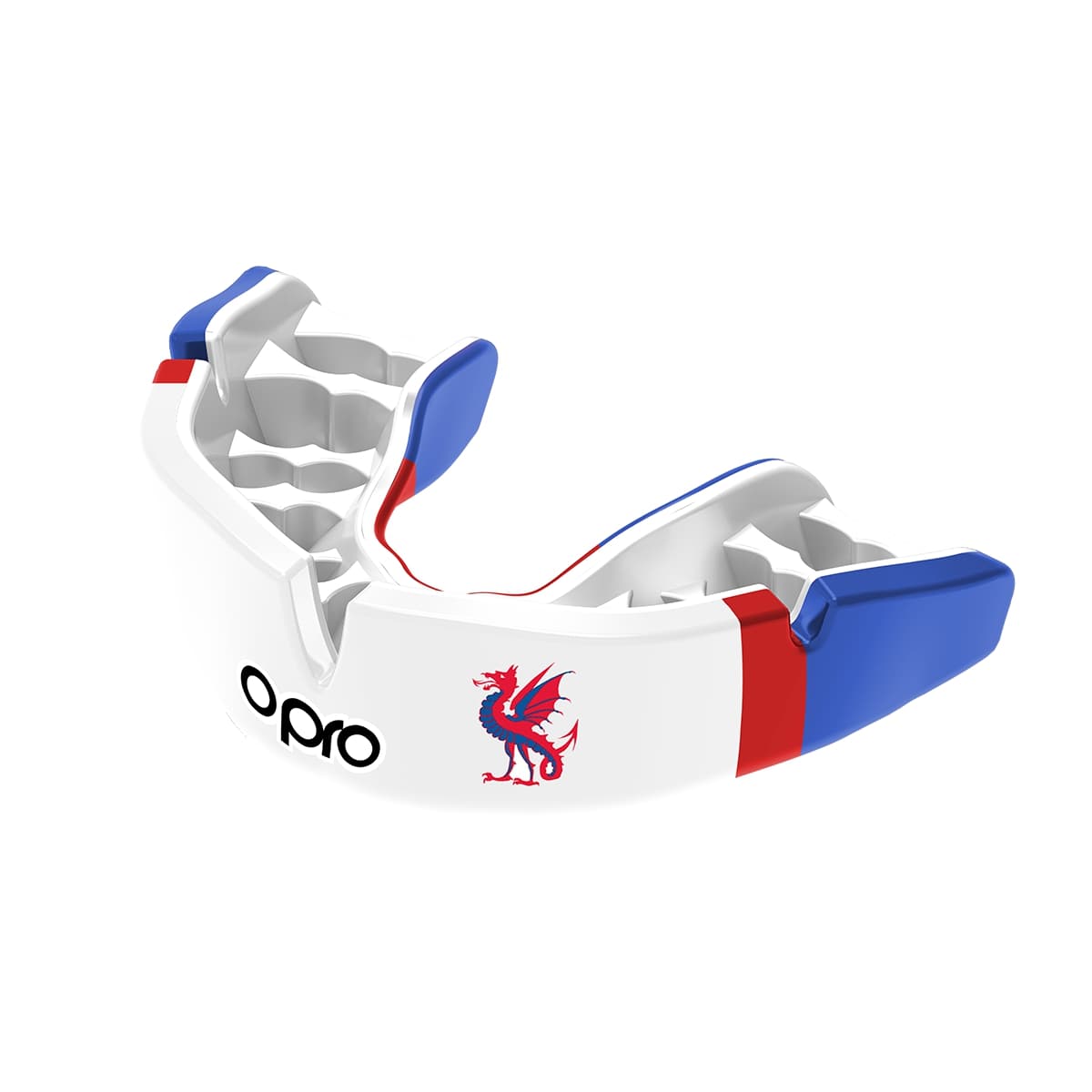 Birkdale School (Sheffield) Mouthguard