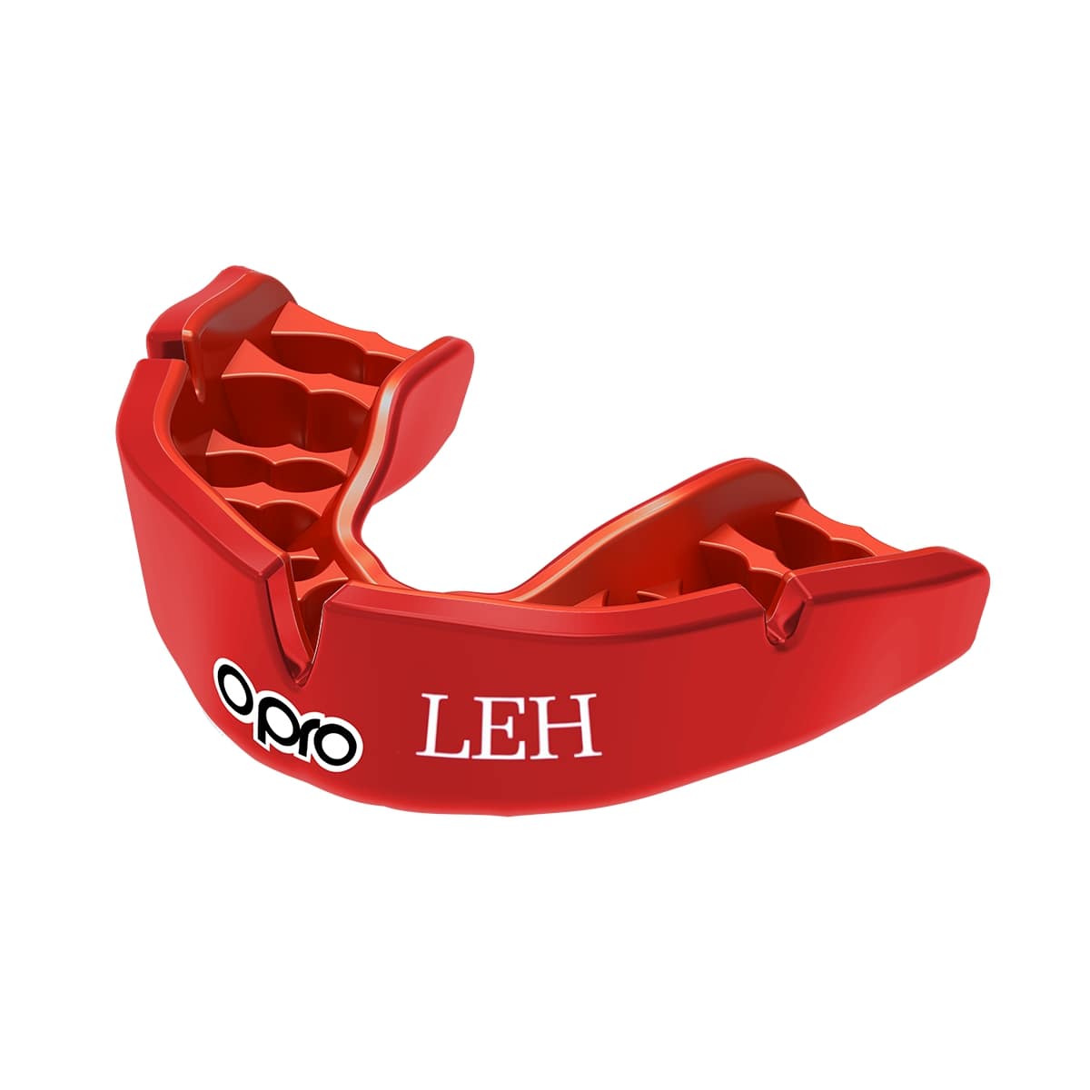 The Lady Eleanor Holles School Mouthguard