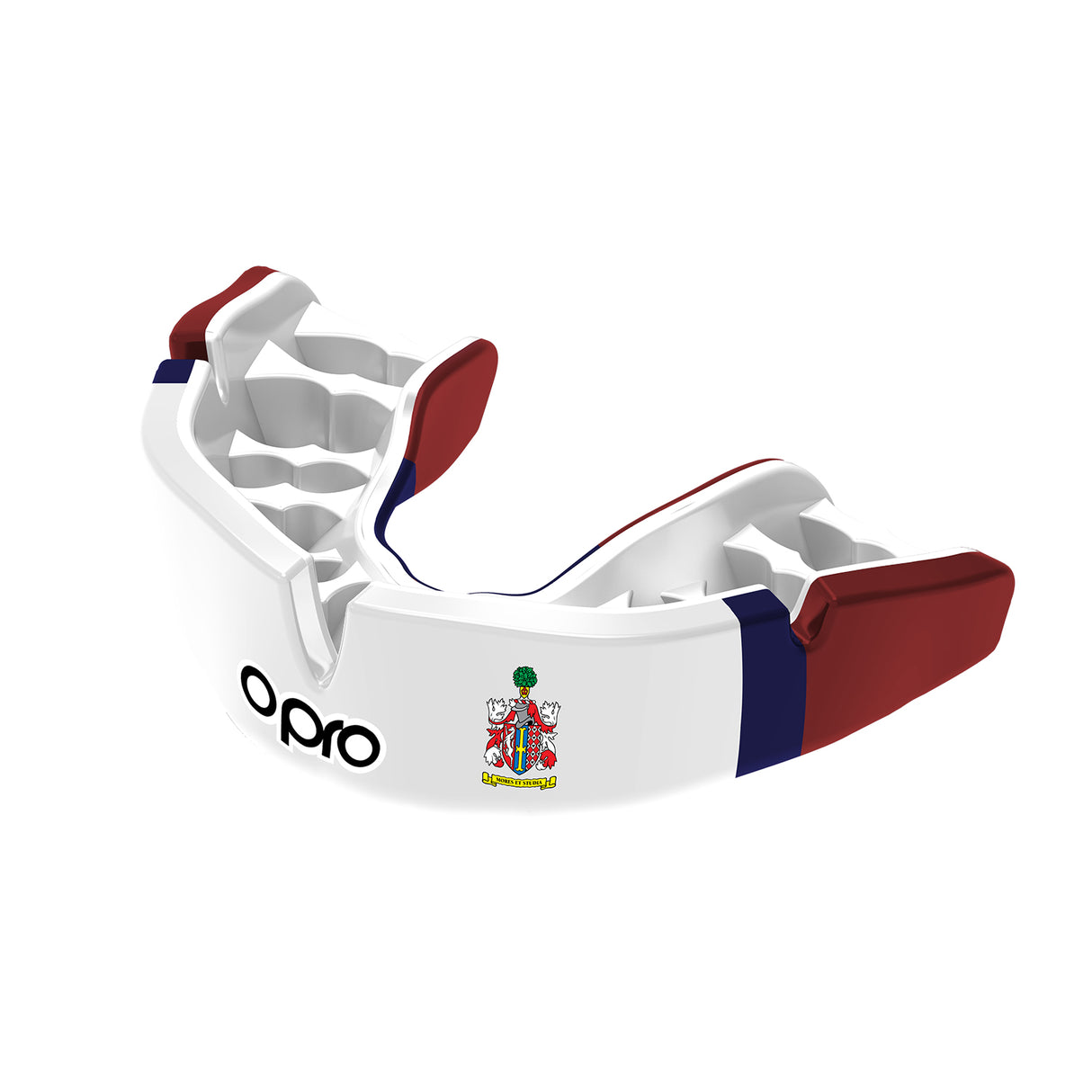 Langley Park School for Boys Mouthguard