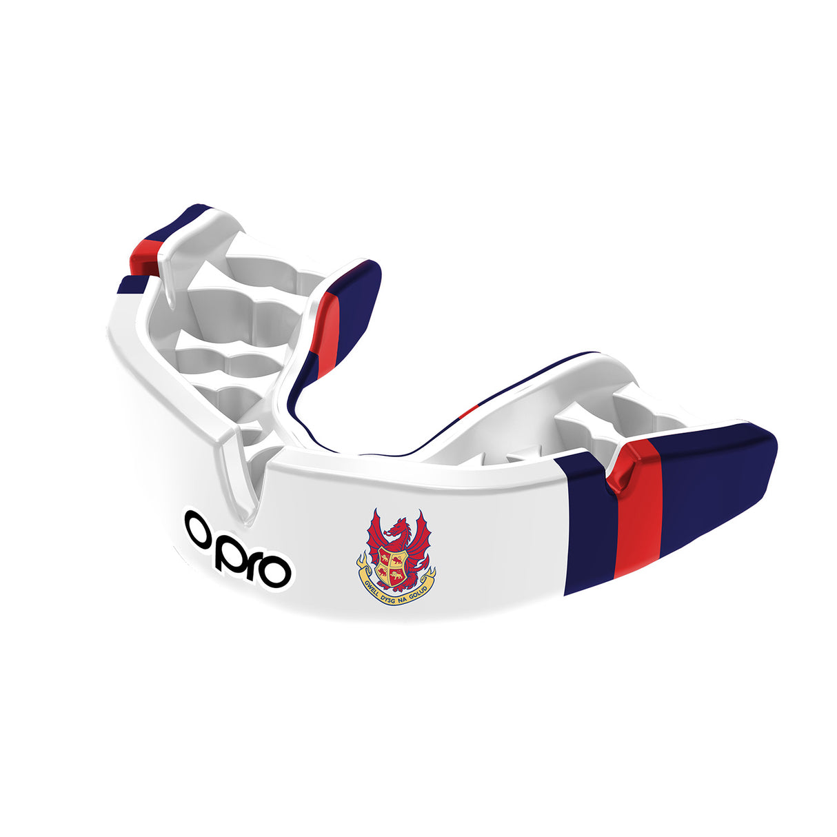 Llandovery College Mouthguard