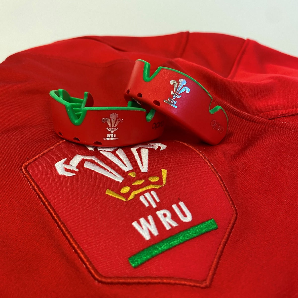 Silver Level Wales Rugby Mouthguard